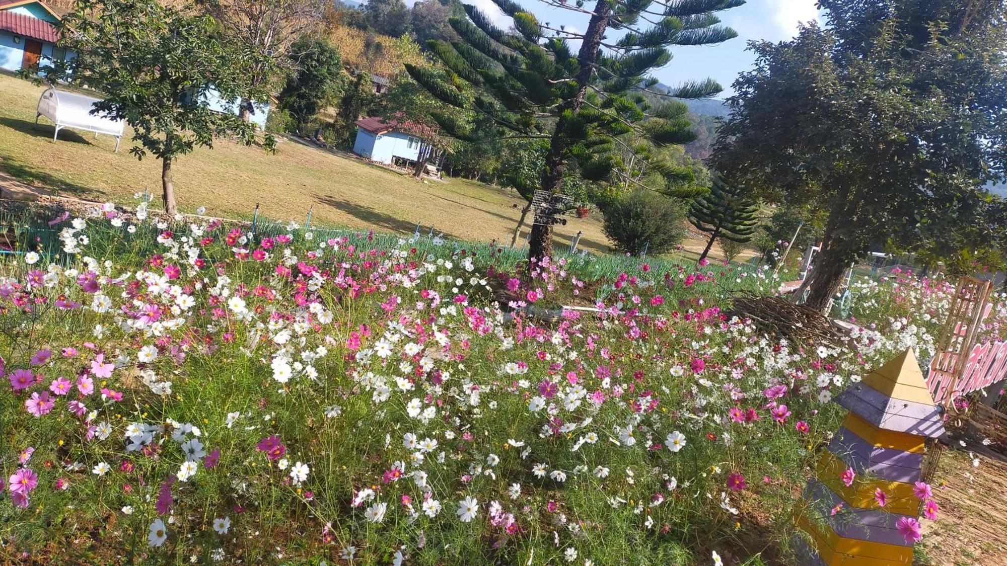 Mong Homestay Resort Pang Ung Exterior foto