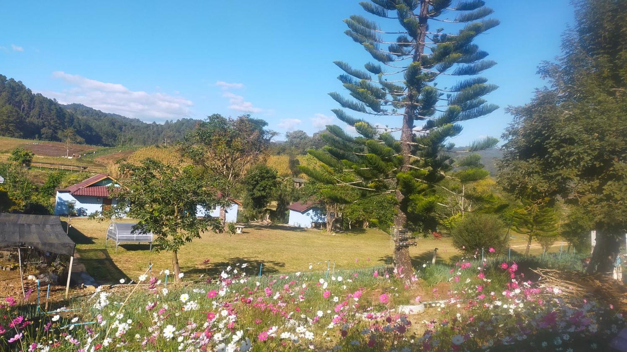 Mong Homestay Resort Pang Ung Exterior foto