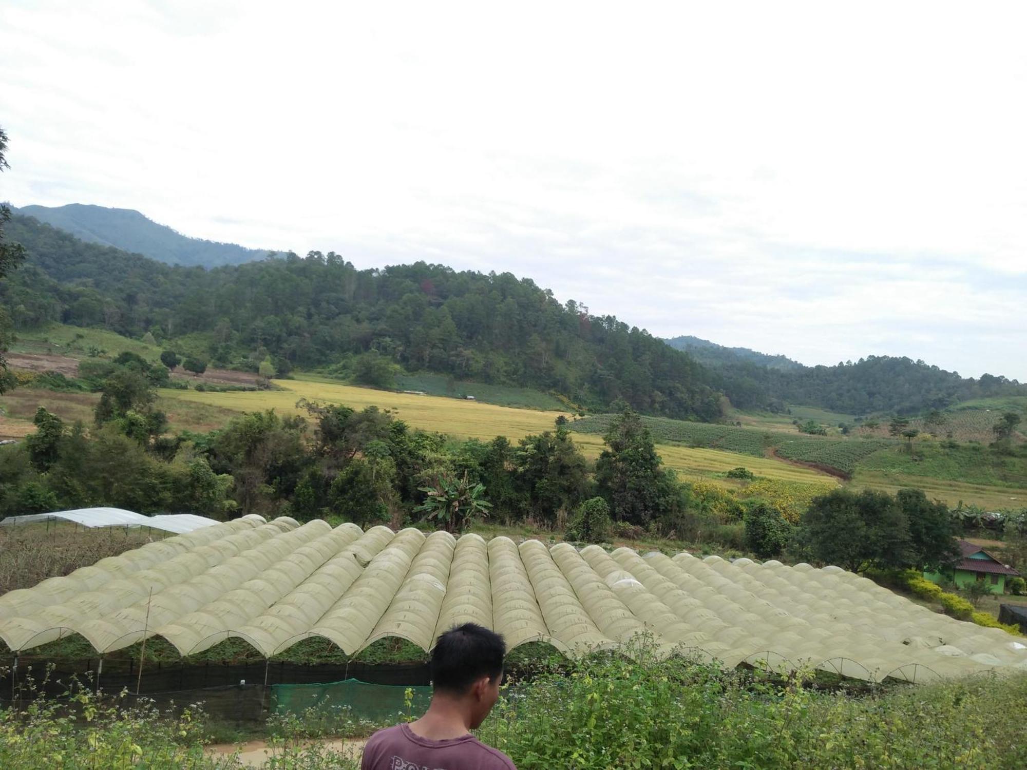 Mong Homestay Resort Pang Ung Exterior foto